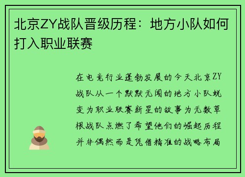 北京ZY战队晋级历程：地方小队如何打入职业联赛